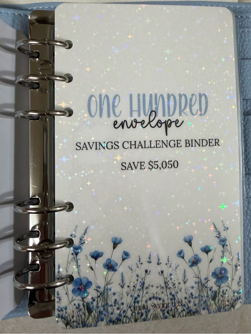 One Hundred Envelope Savings Challenge Inserts